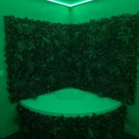 Daire Lz Private Jungle Le Cannet
